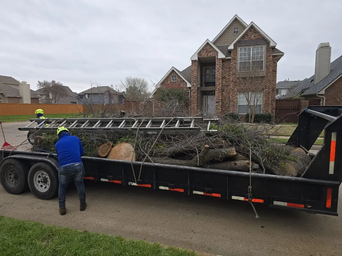 Expert Lot Clearing with proper safety equipment in Crookston